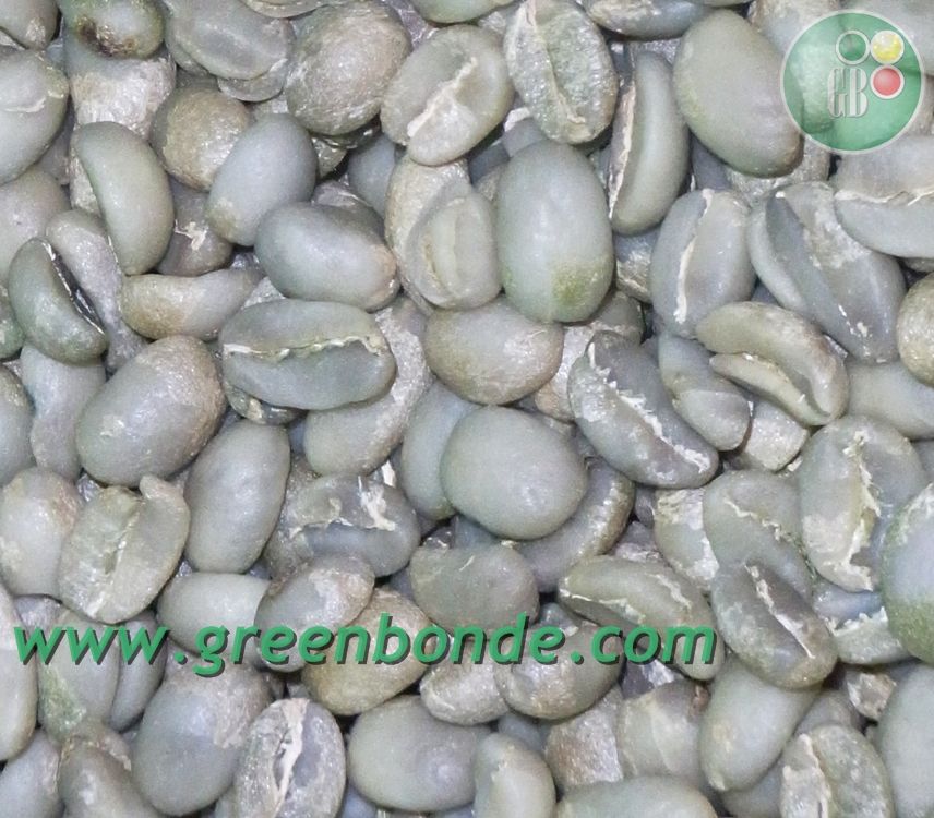 Export Green Coffee Beans | Green Coffee Bean Importer | Green Coffee Beans Buyer | Buy Green Coffee Beans | Green Coffee Bean Wholesaler | Green Coffee Bean Manufacturer | Best Green Coffee Bean Exporter | Low Price Green Coffee Beans | Best Quality Gree