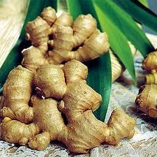 Fresh Ginger