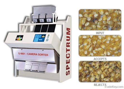 Dehydrated Sweet Corn Sorter