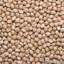 Chick Peas