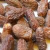 DRY DATES (CHOHARA)