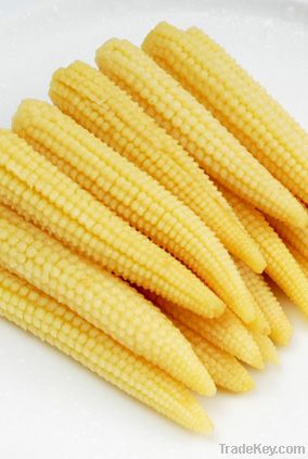 Baby Corn