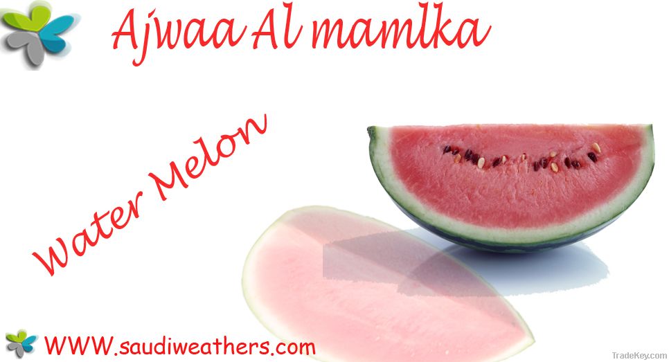 watermelon