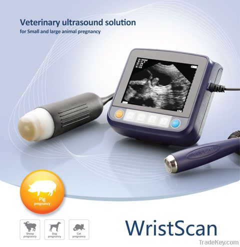 Palm-size VET Ultrasound Scanner WristScan