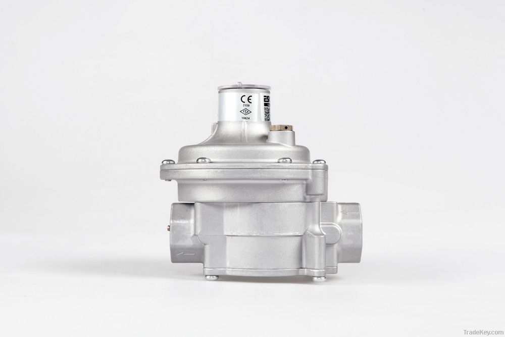 ERG Series Gas Pressure Regulator