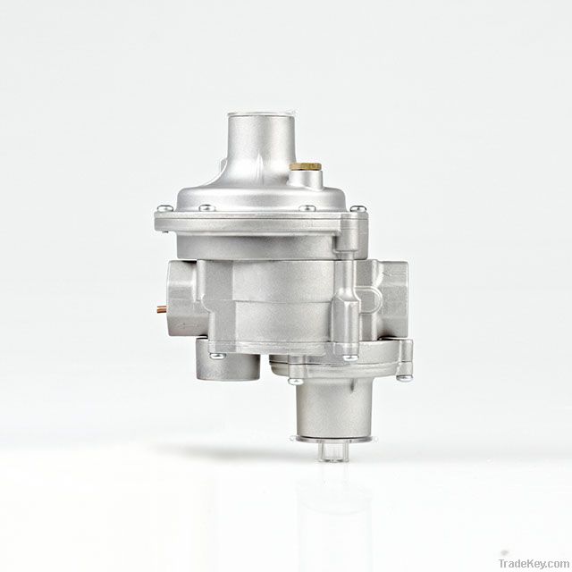 ERG-E Series Gas Pressure Regulator