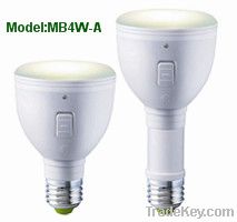 LED Magic Bulb