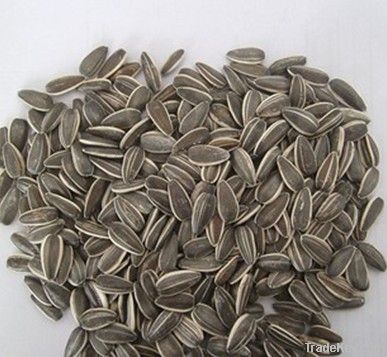 Food Sunflower Seeds 909
