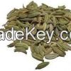 Fennel seeds