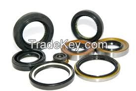 Oil Seal