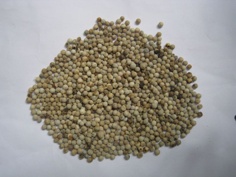 VIETNAM WHITE PEPPER (skype: visimex08)