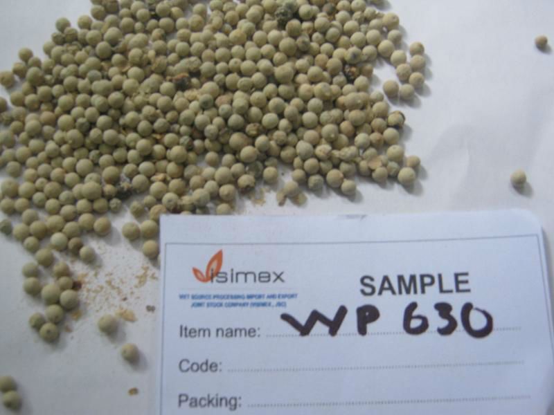 VIETNAM WHITE PEPPER (skype: visimex08)