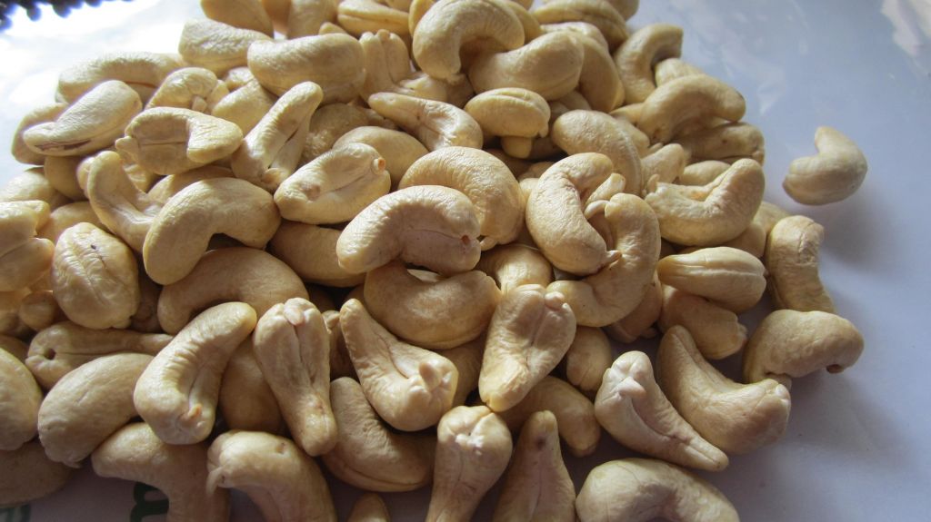 CASHEW NUT (Skype: visimex08)