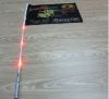 Handheld LED flag