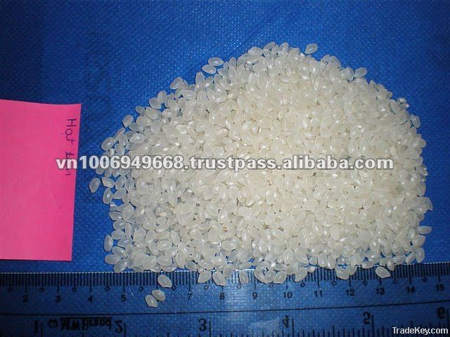 JAPONICA RICE/ ROUND RICE/ PEARL RICE/ CALROSE RICE