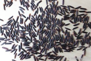 VIETNAM ORGANIC BLACK RICE