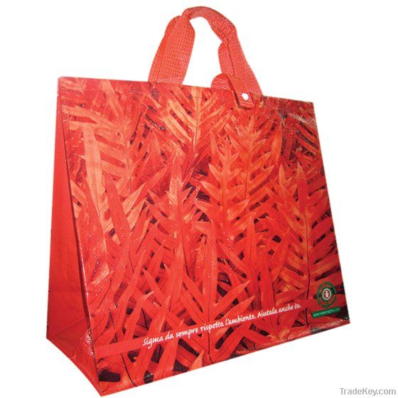 pp woven shopping bag 038