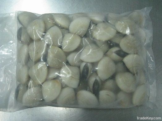 Frozen Whole Shell White Clam