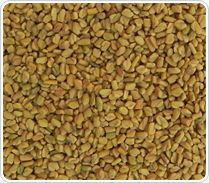 Fenugreek Seeds