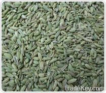 Indian Fennel Seeds