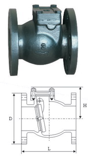 cast iron check valve