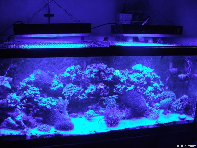 112*3W Dimmable LED Aquarium Light