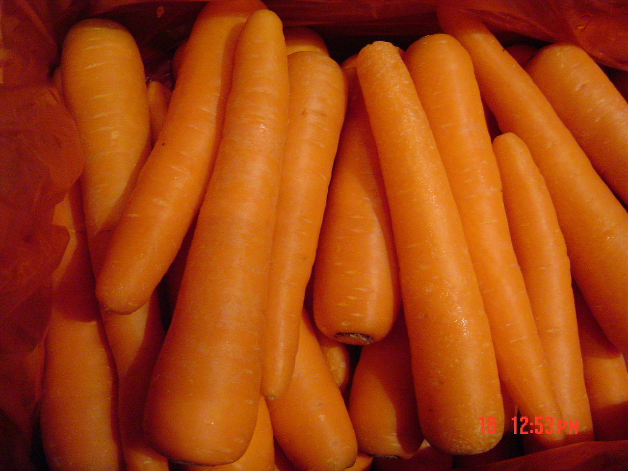 Fresh Carrot