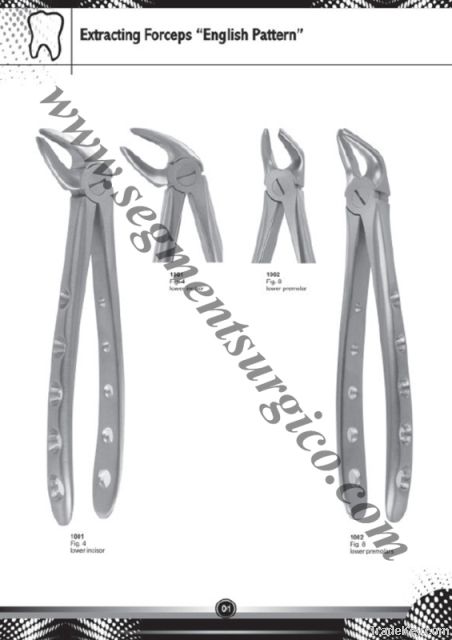 Professional Extracting Forceps
