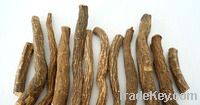 Dries herbaceous peony roots( Baishao)