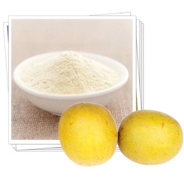 Natural Sweetener Calorie Free Monk Fruit Extract 25%~55% Mogroside V