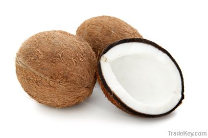 Coconut oil