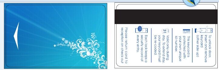 best -seller customized plastic Cr80 VIP card