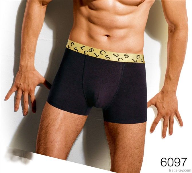 Hot-Selling High Quality Low Price Sexy Boys Underwear (D86-3) - China Sexy Boys  Underwear and Mens Underwear Boxers price