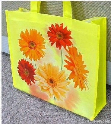 2012 Resuable shopping bags