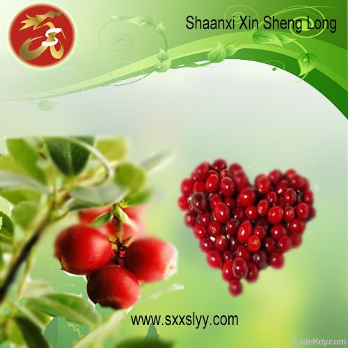 Cranberry  extract/plant extract/ herbal extract/