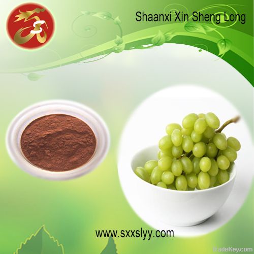 Grape Seed Extract/plant extract/ herbal extract/