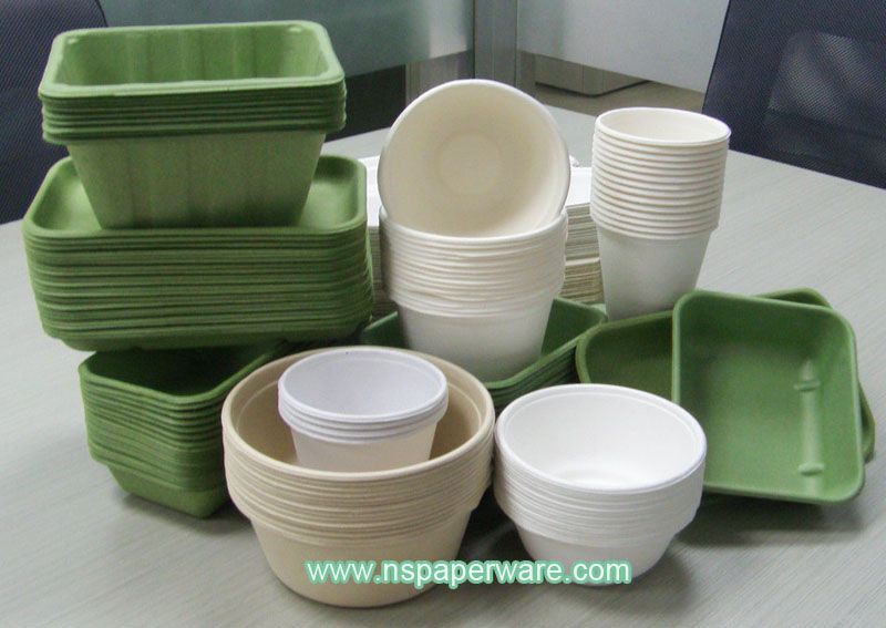 Biodegradable Tableware Disposable Food Containers Bagasse Tray