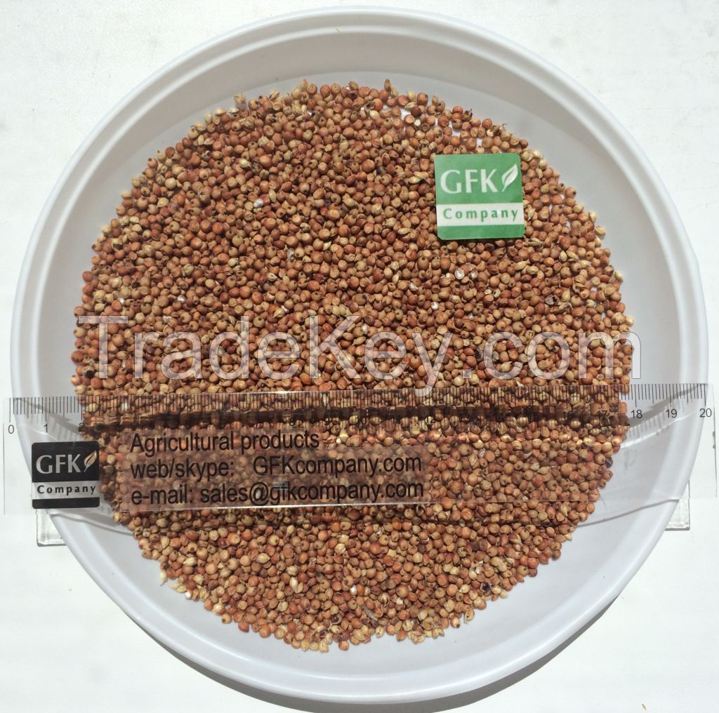 Sorghum (red, white)