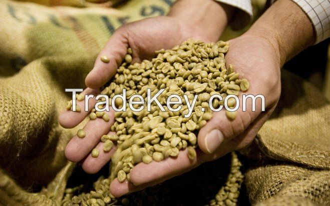 Robusta Green Coffee Beans from Vietnam