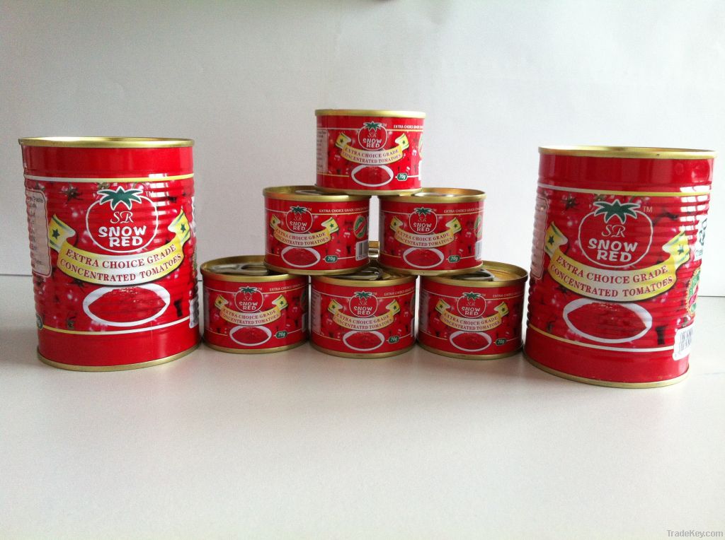 tomato paste canned tomato paste