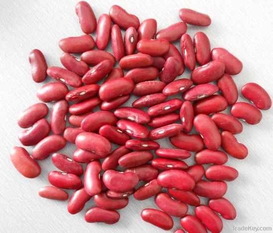 long kidney beans