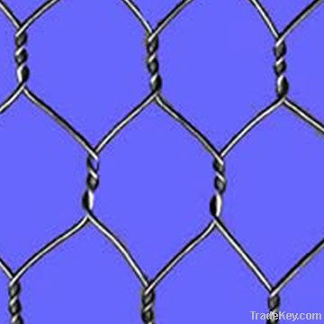 hebei Hexagonal Wire Netting