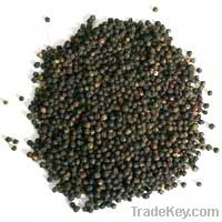 Black Pepper - whole and powder