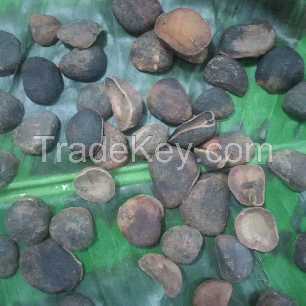 KOLA NUT (DRIED)