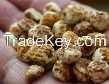 Tiger Nuts (mini, standard and jumbo)