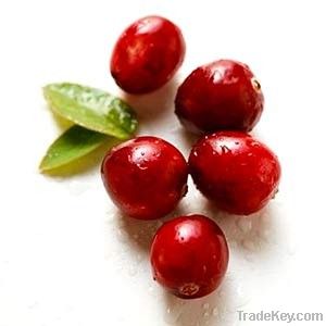 Cranberry Anthocyanin