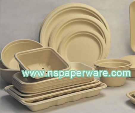 Bagasse disposable tableware
