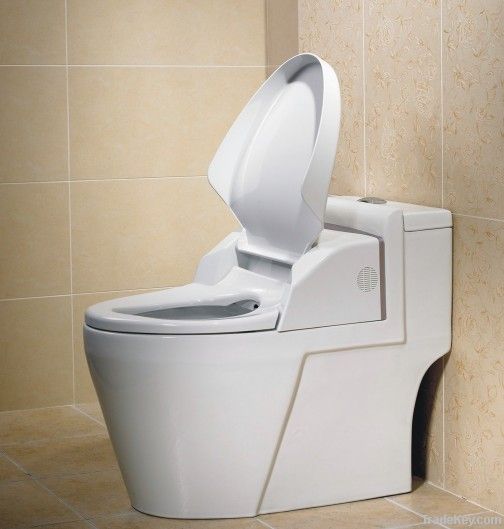 smart toilet seat, automatic control