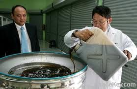 Cooking Oil