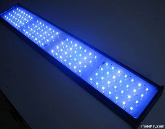 300W LED aquarium light
